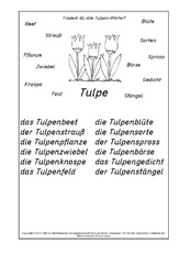 Tulpen-Wörter-Lösung.pdf